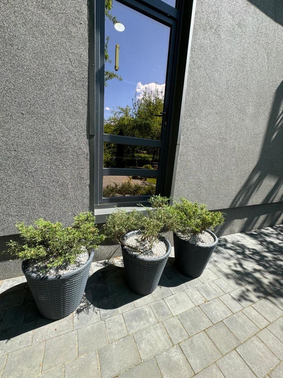 Villa Girske Povitria 2 Yaremche Exterior foto